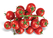 Paradajky cherry 250 g 1 bal.