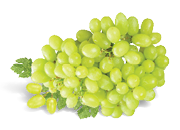 Hrozno biele voľné 1 kg