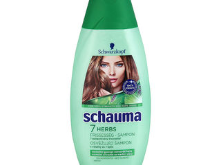 Schauma