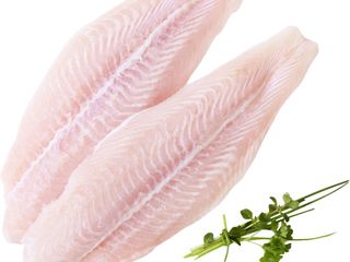 obrázek Pangasius
