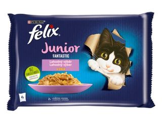 FELIX JUNIOR FANTASTIC
