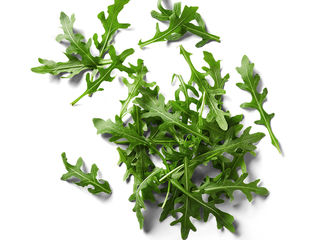 Rukola