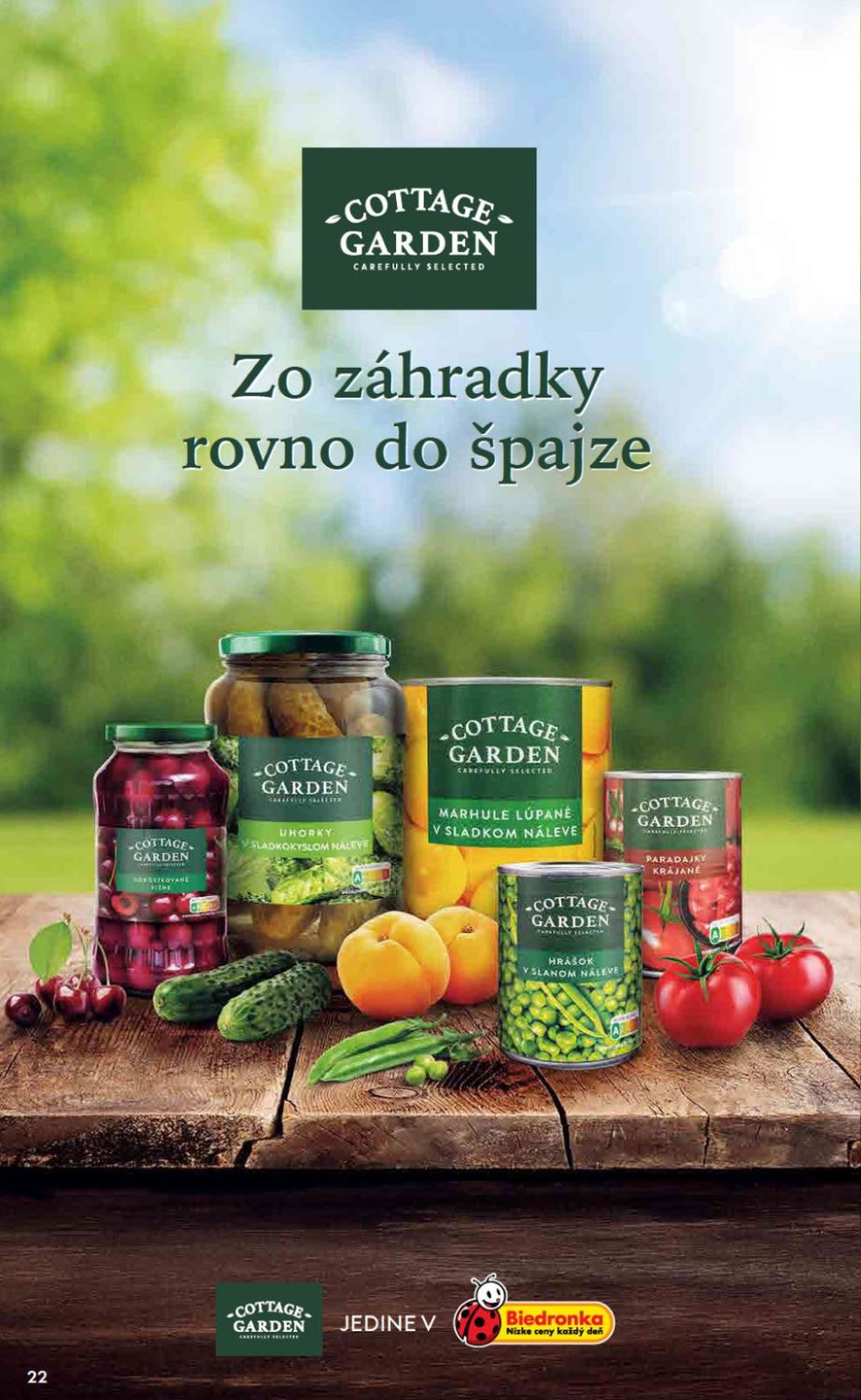 Biedronka